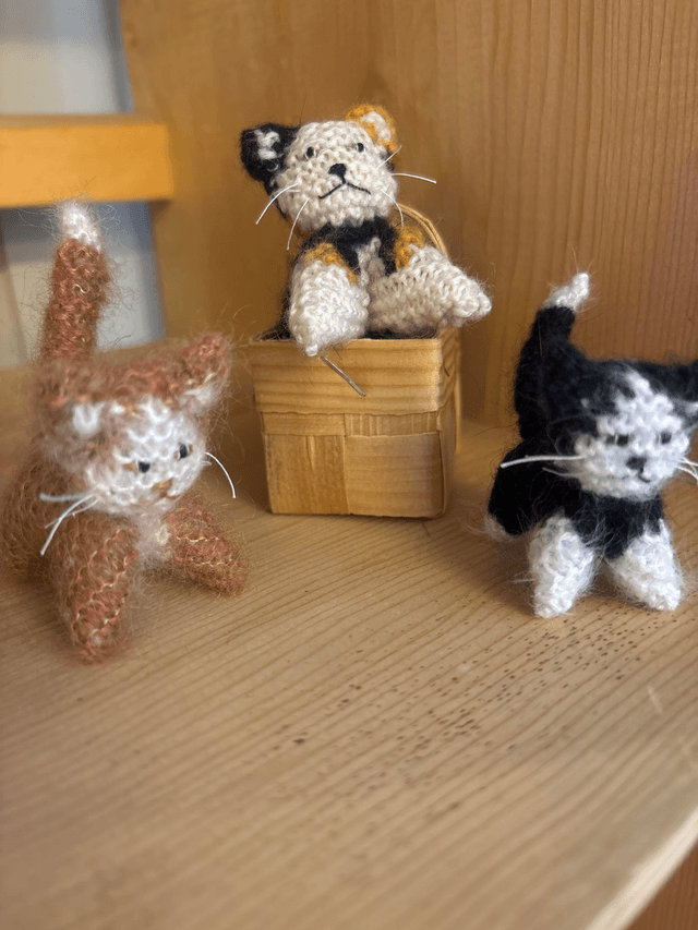 Katze Mittel 
